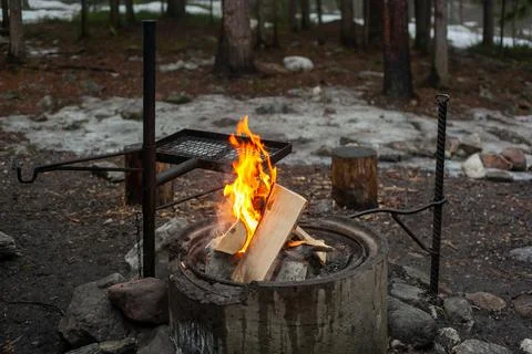 Campfire in the early spring forest. Stock Photos