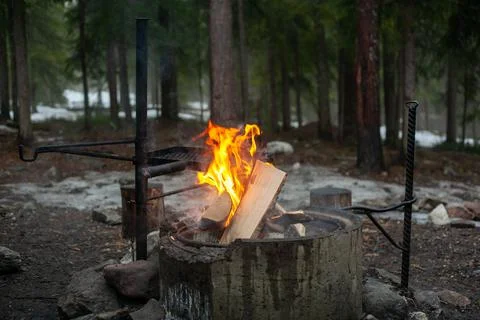 Campfire in the early spring forest. Stock Photos