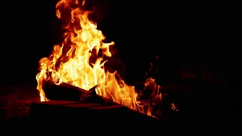 Campfire Embers and Flames Stock Footage 293186127