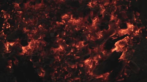 Campfire Embers Stock Footage 32453777