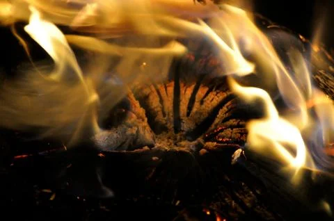 Campfire embers 스톡 사진