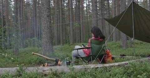 Campfire, enjoy, fire, flame, night, phone Stock Footage 64794659