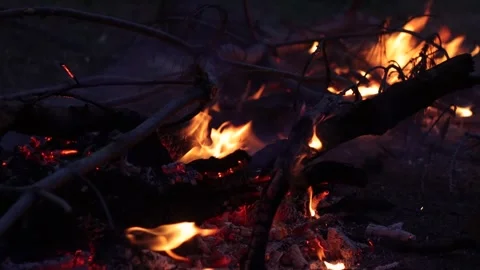 Campfire in the Evening Stock Footage 321429624
