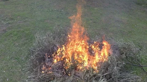 Campfire In The Field 2 Stock Footage 45987512
