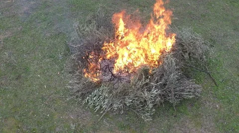 Campfire In The Field 3 Stock Footage 45989690
