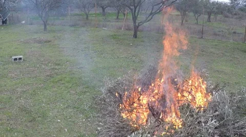 Campfire In The Field 4 Stock Footage 45990856