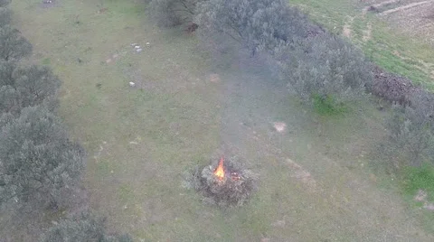 Campfire In The Field 5 Vidéo 45991646