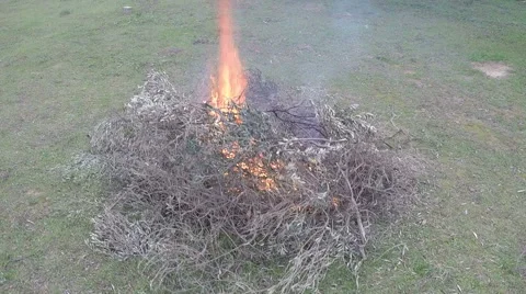 Campfire In The Field 6 Видео 45992607