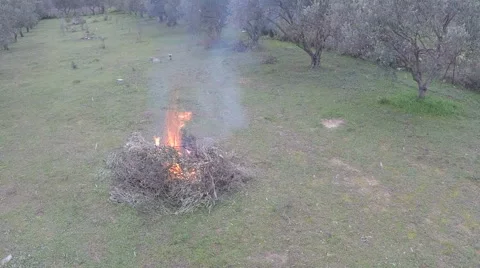 Campfire In The Field 7 Видео 45993533