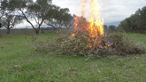 Campfire In The Field Stock Footage 45984944