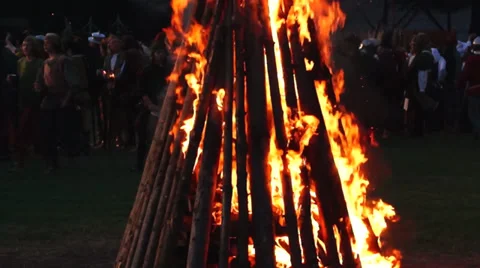 Campfire, fire Video stock 32704487