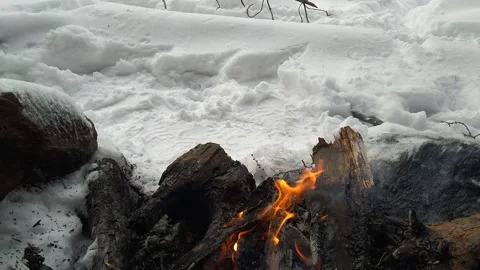Campfire fire in winter Stock Footage 148198384