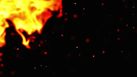 Campfire Flame and Sparks Видео 223056905