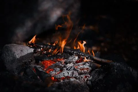 Campfire Flame Close-Up at Night Stock Photos