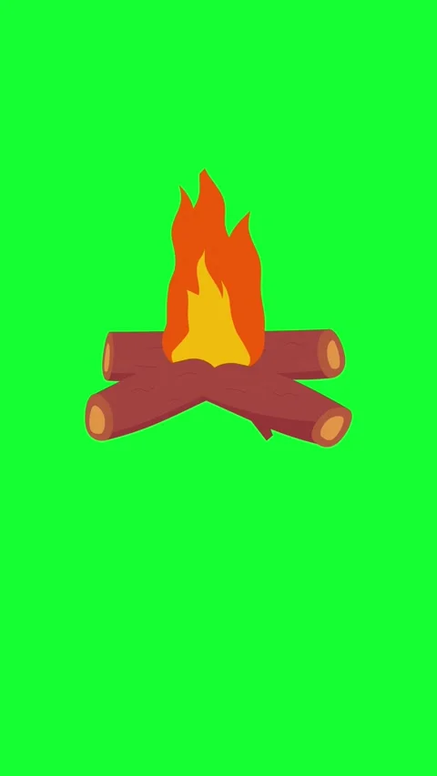 Campfire Flame Loop Animation On Green Screen Video stock 346566486
