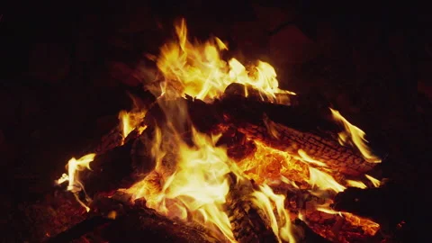 Campfire flames with big logs Stock-Footage 212586160