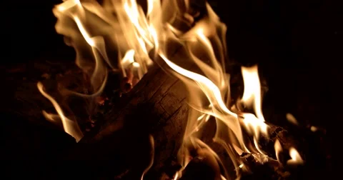 Campfire Flames on a Black Background, Close up in 4k Stock Footage 68741928
