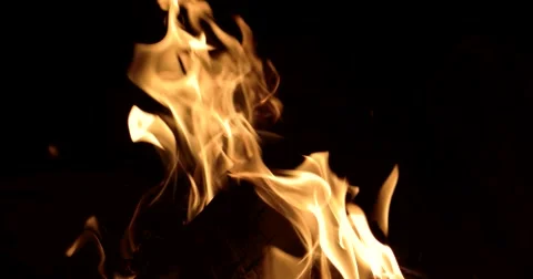 Campfire Flames on a Black Background, Close up in 4k Stock Footage 68742003