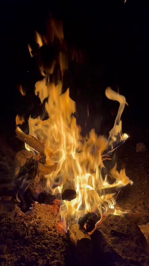 Campfire Flames Burning Against a Dark Night Background Stock Footage 345023140
