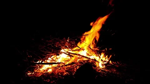 Campfire Flames Burning Logs on Ground 库存影片 347459664