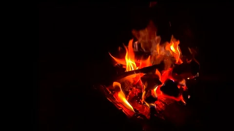 Campfire Flames Burning at Night With Copy Space Stock Footage 336569811