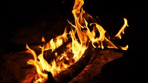 Campfire Flames Close Up Stock Footage 284621769