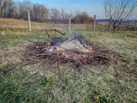 Campfire Flames Close-Up Photos