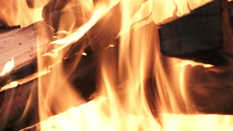 Campfire Flames Close Up With Tilt Up To Trees Stock Footage 318044206