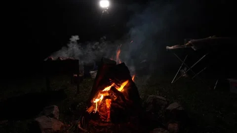 Campfire flames dancing in dark night atmosphere 库存影片 301402321
