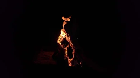 Campfire Flames in the Dark Stock Footage 317859171