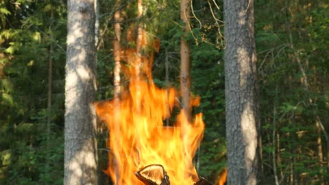 Campfire flames in forest. Fire on the forest. Tree branches burning. Close up 스톡 동영상 93998338