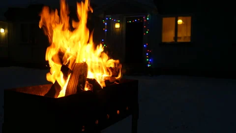 Campfire flames in forest. Fire on the forest. Tree branches burning. Close up Video stock 102042772