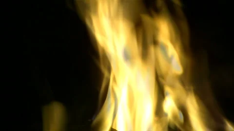 Campfire flames at night. 動画素材 3677665