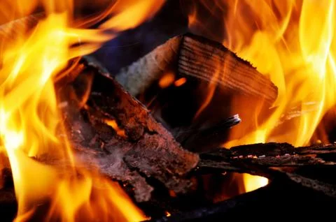 Campfire flames Фото