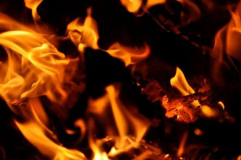 Campfire flames 写真素材