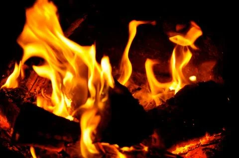 Campfire flames Stock Photos