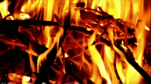 Campfire Stockbeeldmateriaal 521640