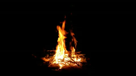 Campfire Video stock 523522