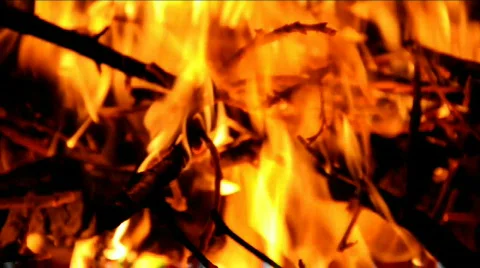Campfire 스톡 동영상 523628