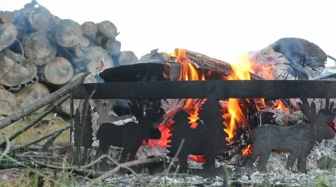 Campfire Stock Footage 7738617