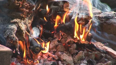 Campfire  Stock Footage 8518645