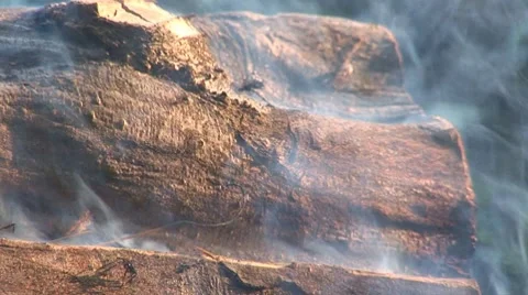 Campfire   Stock Footage 8518651