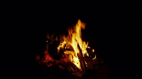 Campfire Stock Footage 8527121