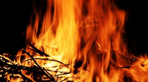 CAMPFIRE Stock-Footage 8852173