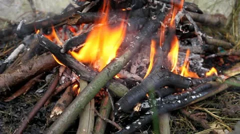 Campfire Stock Footage 10197110
