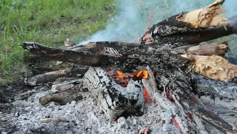 Campfire Stock Footage 10916192