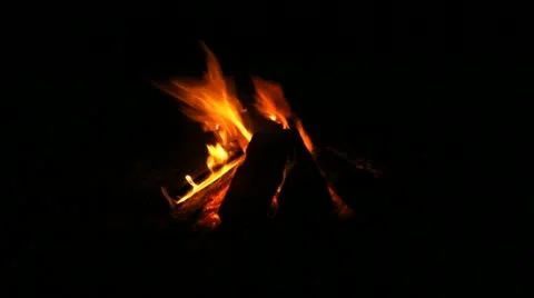 Campfire Stock Footage 11259679