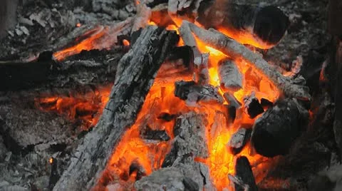 Campfire Video stock 11875095