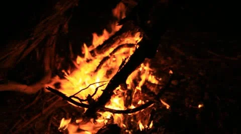 Campfire Stock Footage 12224505