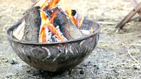 Campfire Stock Footage 14401642